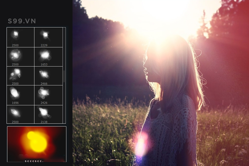 Bộ brush hiệu ứng ánh nắng cho photoshop