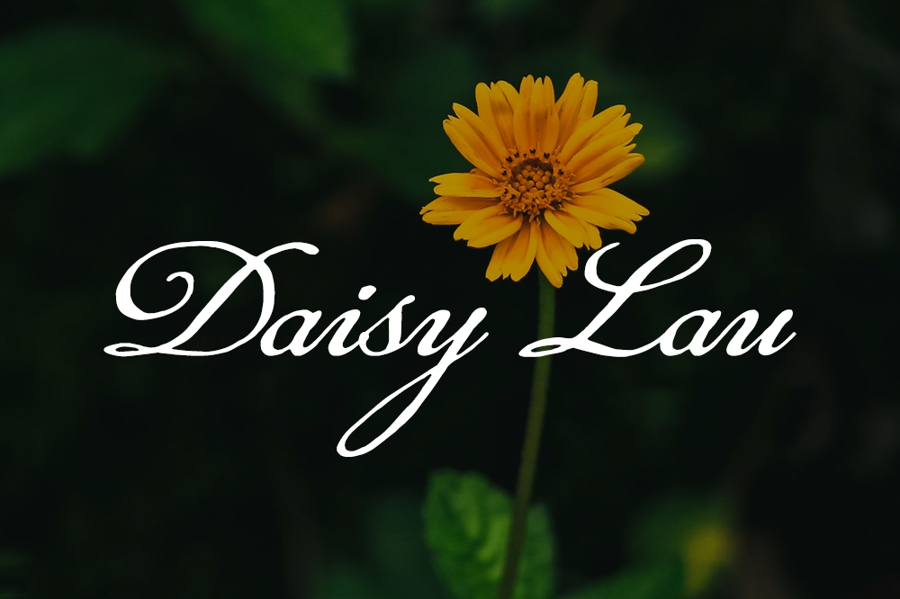 Font Chữ Viết Tay SVN Daisy Lau Việt Hoá