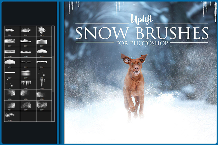 Bộ Brush Tuyết Siêu Đẹp Cho Photoshop