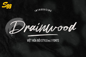 Font chữ nét cọ mềm mại viết tay SVN-Drainwood