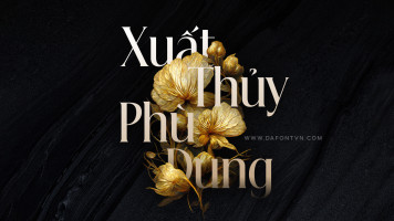 Font chữ thanh lịch, hiện đại, sang trọng dùng cho thiết kế thiệp cưới, thời trang, tạp chí, nước hoa DFVN Beautique Display