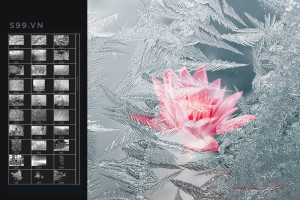 Bộ brush hiệu ứng đóng băng cho photoshop